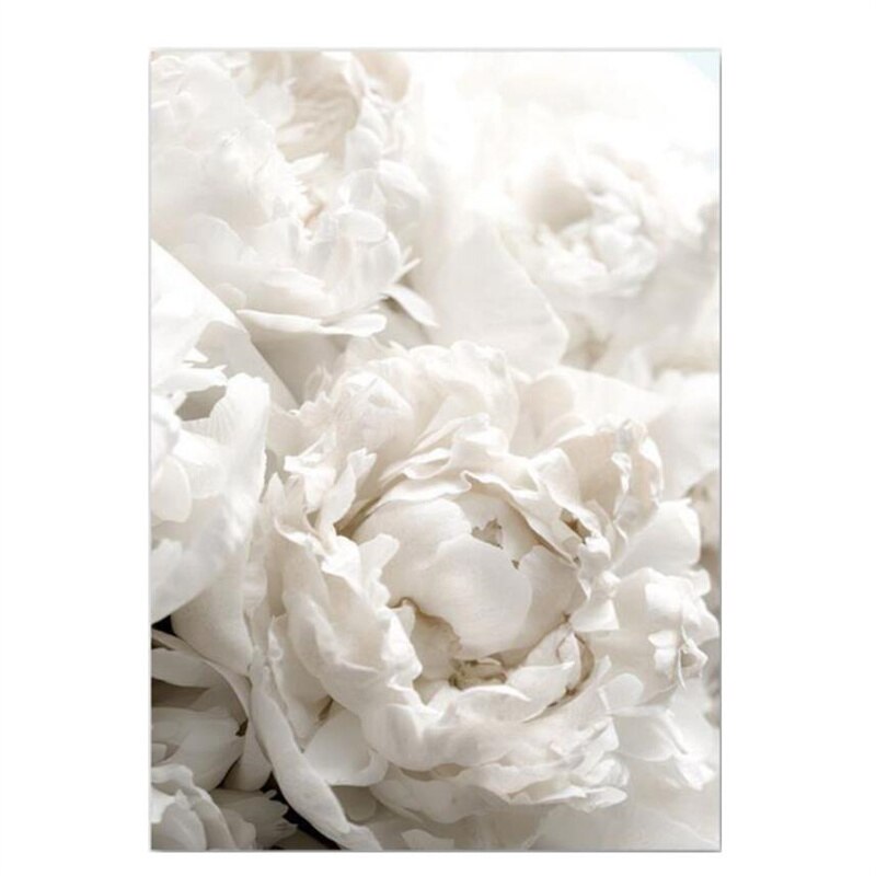 Simple Floral White Rose Peonies Wall Art Fine Art Canvas Prints Black White Botanical Pictures For Living Room Modern Interiors Home Decor
