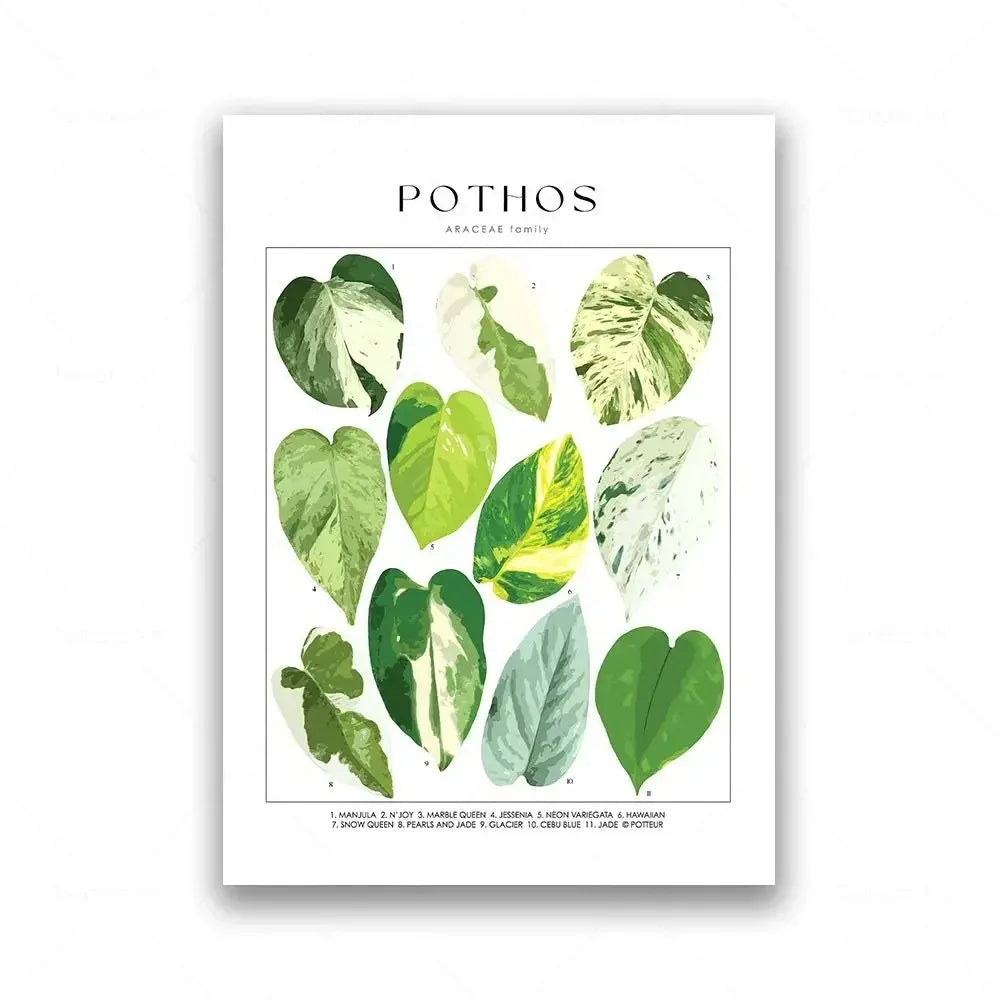 Classic Botanical Specimen Posters Green Leaves Wall Art Fine Art Canvas Prints Pictures For Kitchen Dining Room Living Room Decor 2025