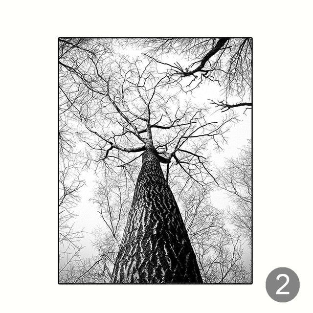 Black And White Scandinavian Winter Wall Art Woodland Nature Deer Silver Birch Forest Fine Art Canvas Prints For Living Room Dining Room Decor
