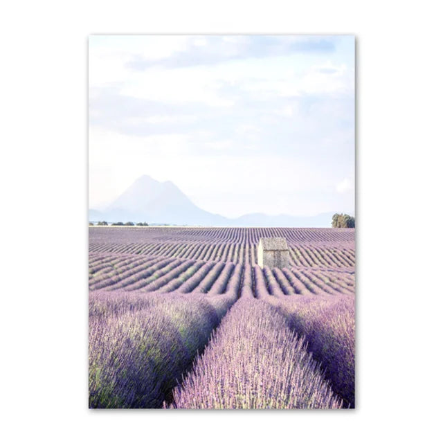 Pictures Of Provence Landscape Purple Lavender Wall Art Fine Art Canvas Prints Gallery Wall Pictures For Living Room Art Decor