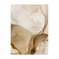 Modern Abstract Black Beige Flowing Liquid Marble Wall Art Posters Fine Art Canvas Prints Pictures For Living Room Bedroom Art Decor