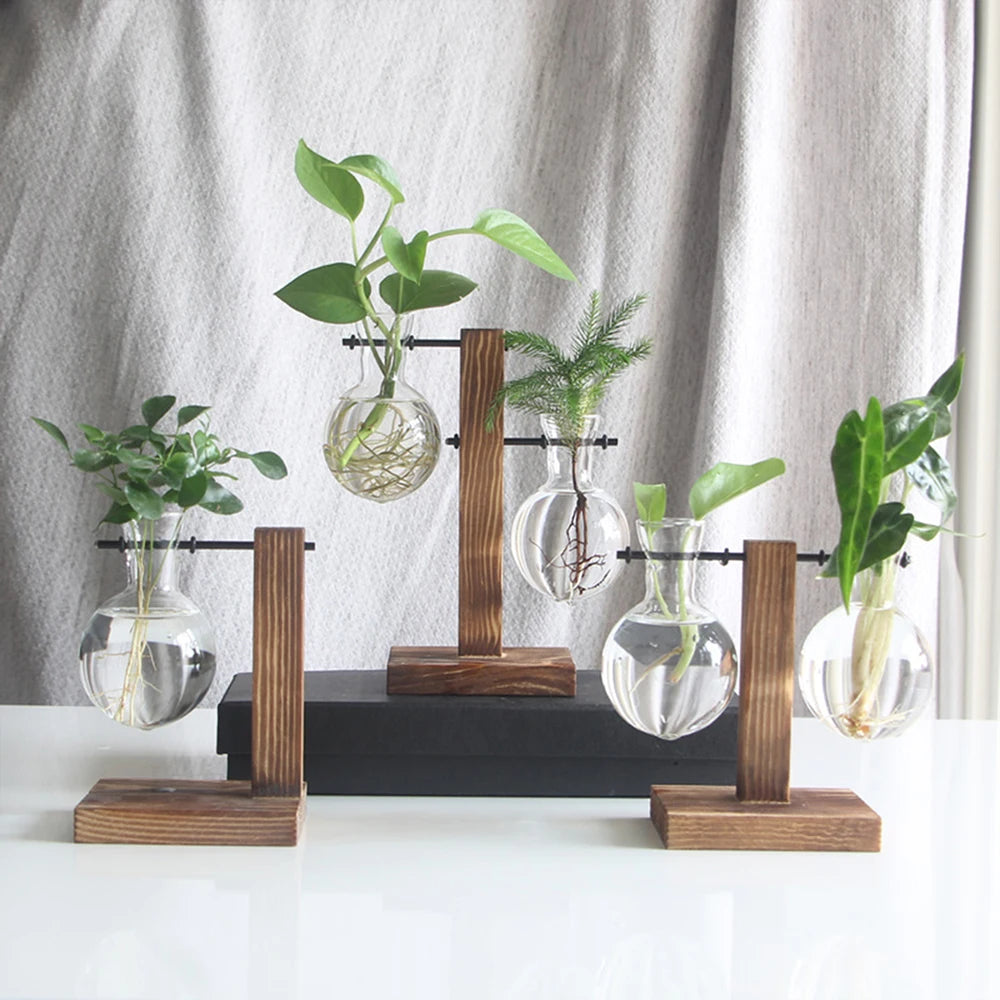 desktop hydroponic planter Simple Desktop Hydroponics Glass Bulb Planter Vase With Wooden Stand F – NordicWallArt.com