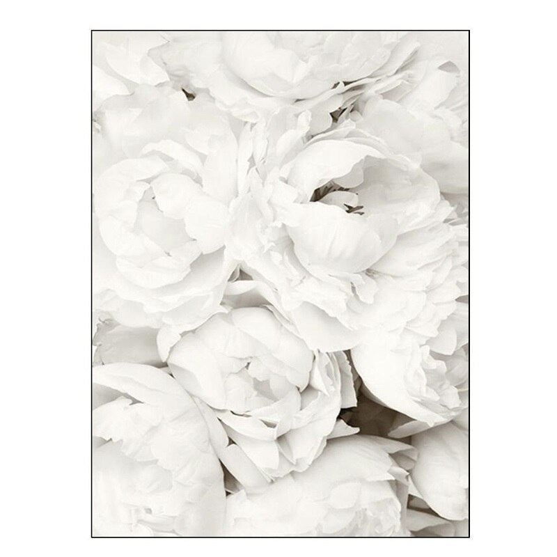 Simple Floral White Rose Peonies Wall Art Fine Art Canvas Prints Black White Botanical Pictures For Living Room Modern Interiors Home Decor