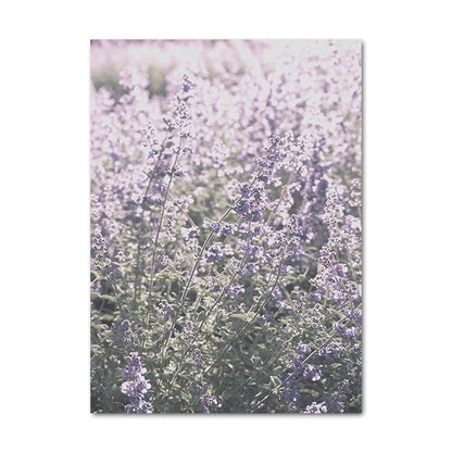 Pictures Of Provence Landscape Purple Lavender Wall Art Fine Art Canvas Prints Gallery Wall Pictures For Living Room Art Decor