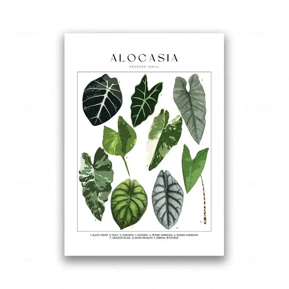 Classic Botanical Specimen Posters Green Leaves Wall Art Fine Art Canvas Prints Pictures For Kitchen Dining Room Living Room Decor 2025
