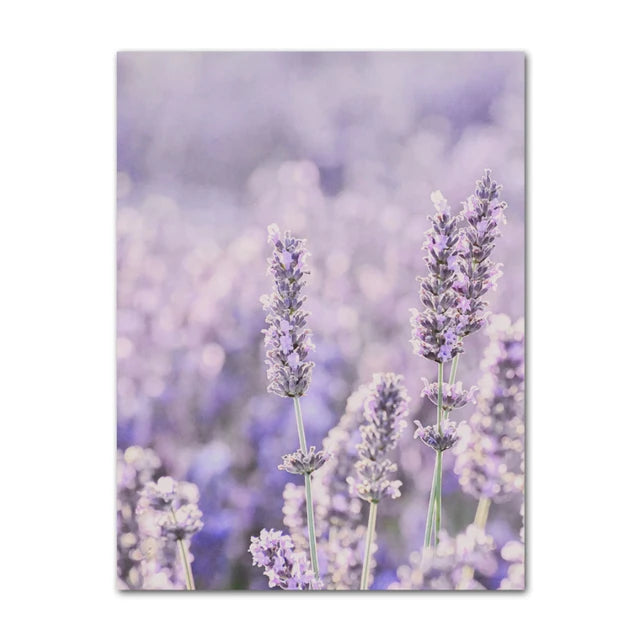 Pictures Of Provence Landscape Purple Lavender Wall Art Fine Art Canvas Prints Gallery Wall Pictures For Living Room Art Decor