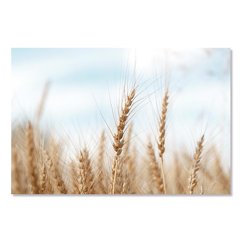 Beach Sea Ocean Poster Wall Art Canvas Painting Bridge Leaves Turtle Seagull Print Vibrant Summer Picture Nordic Home Decoration