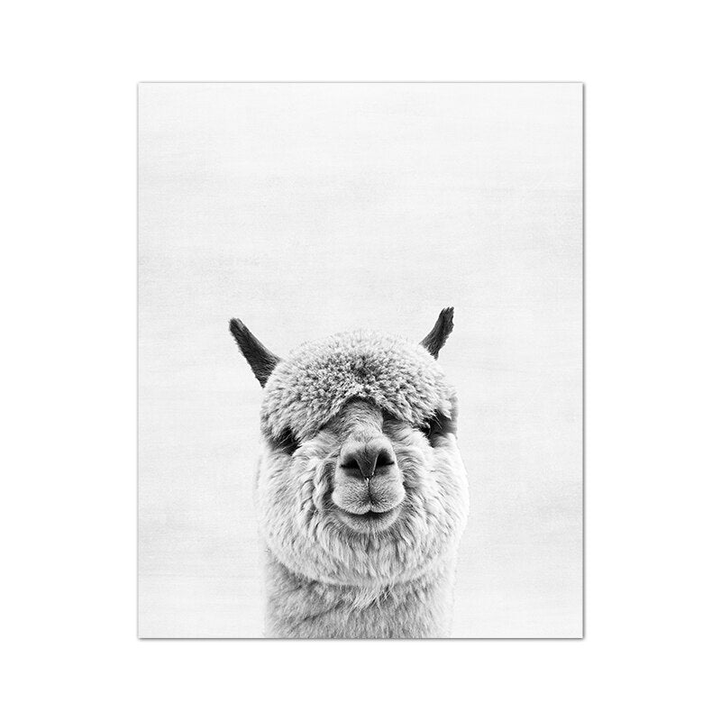Cute Alpacas Black & White Animals Wall Art Fine Art Canvas Prints Pictures For Living Room Dining Room Kid's Bedroom Nursery Wall Art Decor