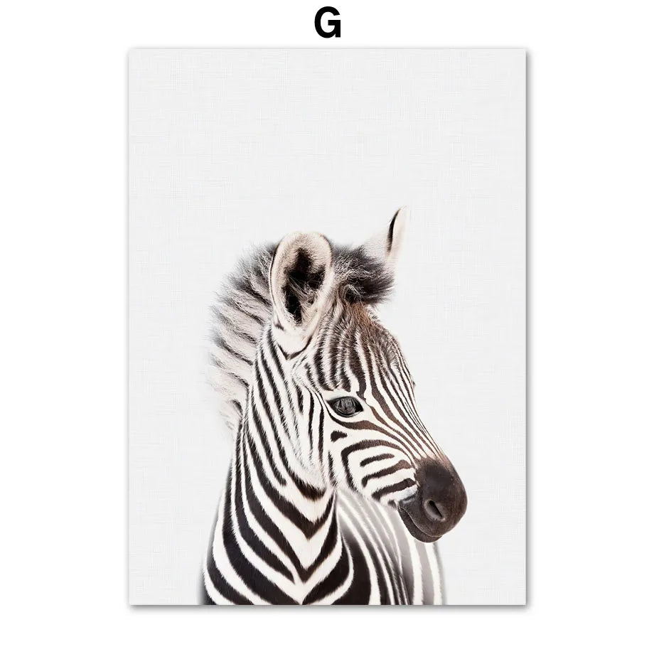 47666678923543|47666678956311|47666678989079|47666679021847|47666679054615