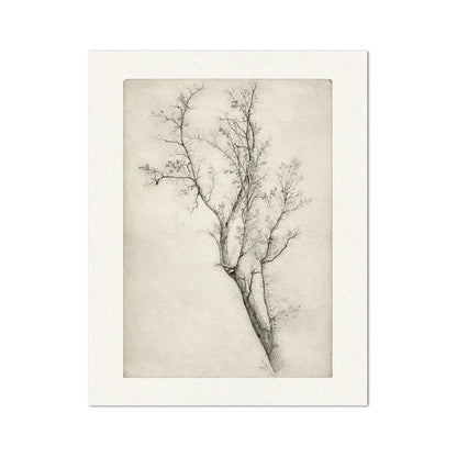 Classic Vintage Landscape Wall Art Fine Art Canvas Prints Gallery Wall Pictures For Contemporary Living Room Dining Room Art Decor 2025