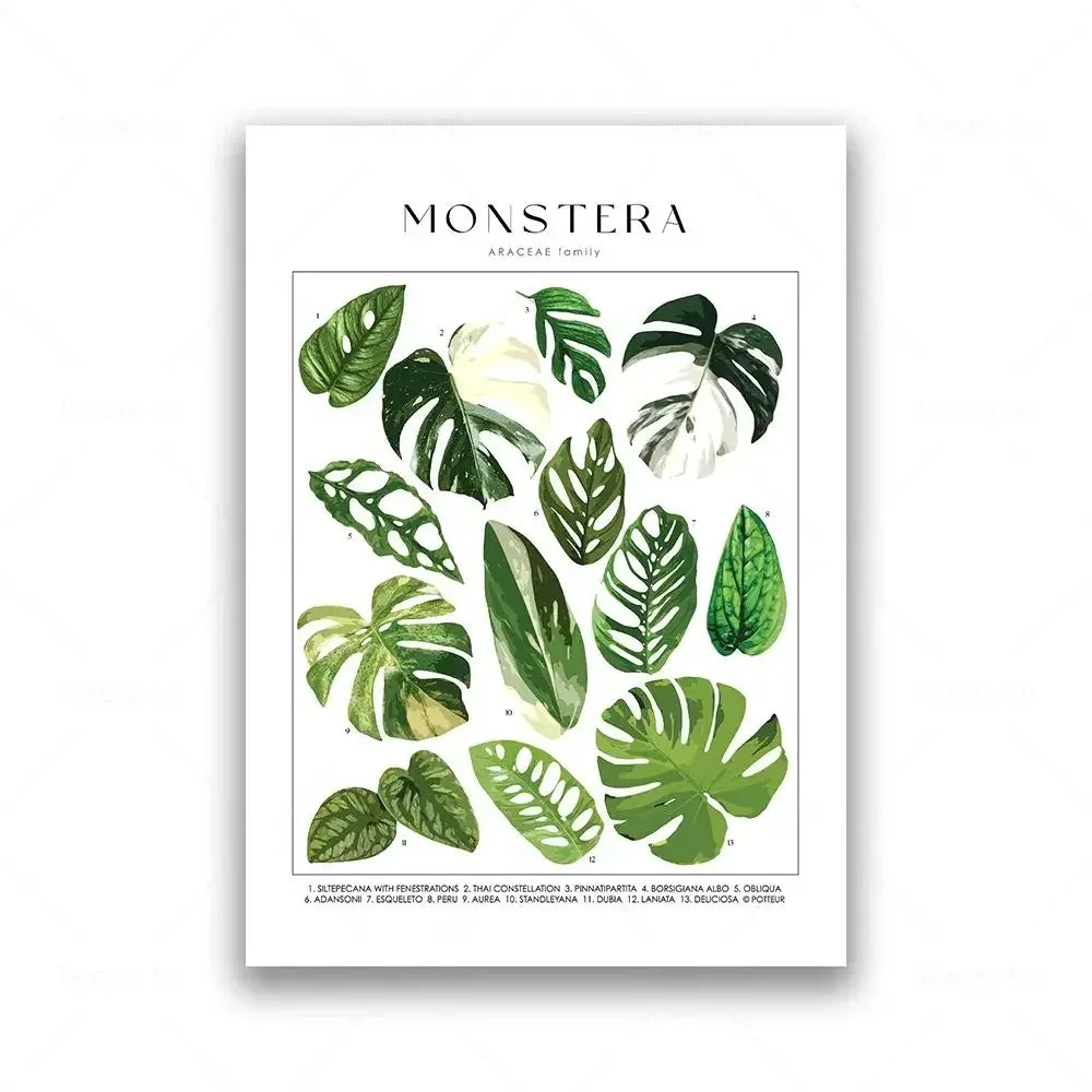 Classic Botanical Specimen Posters Green Leaves Wall Art Fine Art Canvas Prints Pictures For Kitchen Dining Room Living Room Decor 2025
