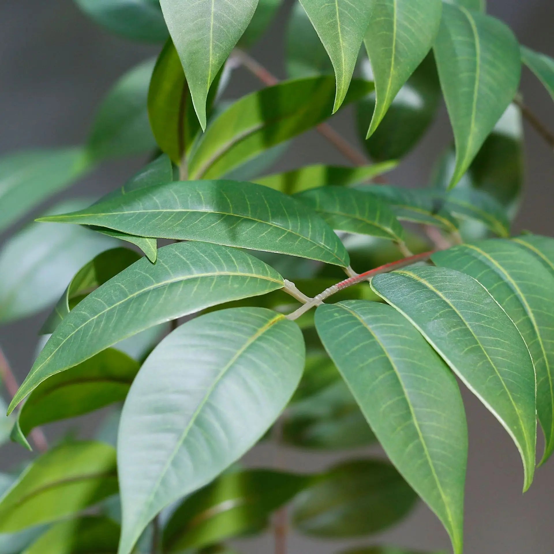 Lush Greenery Faux Plants For Creative Interior Landscaping 110cm Large Tree Branch Varnished Leaves Tall Green Fake Houseplant For Home Garden Indoor Outdoor Decor