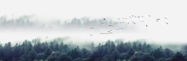 Mountain Lake Forest Wilderness Wall Art Large Format Canvas Prints Wide Format Landscape Picture For Above The Sofa Or Above The Bed