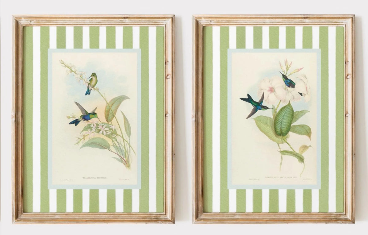 Set of 2Pcs Vintage Birds Wall Art Fine Art Canvas Prints Retro Illustrations of Birds - Art For Farmhouse Style Home Decor