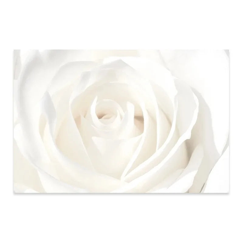 Minimalist White Floral Dahlia Rose Wall Art Fine Art Canvas Prints Pictures of Calm For Living Room Bedroom Modern Home Art Decor