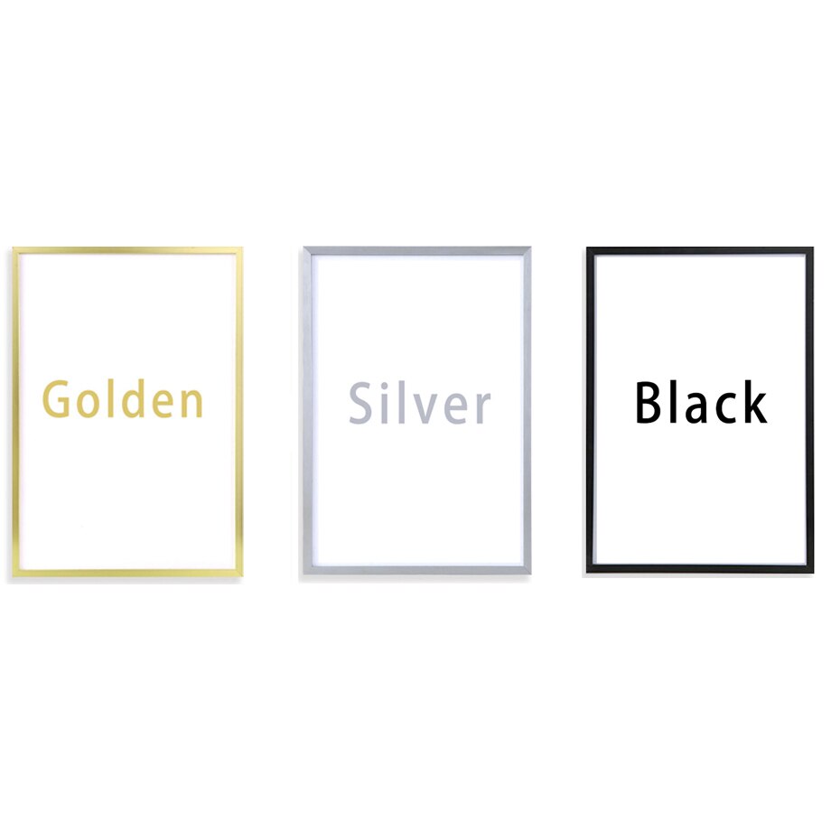 Black Gold Silver Metal Picture Frame For Framing Photos Painting Prints 13x18cm 15x20cm 20x25cm 21x30cm 30x40cm Frame With Perspex