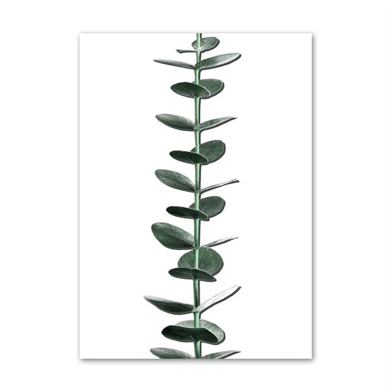 Minimalist White Space Green Monstera Leaves Eucalyptus Leaf Posters Tropical Botanic Wall Art Pictures For Living Room Decor