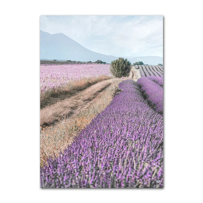 Pictures Of Provence Landscape Purple Lavender Wall Art Fine Art Canvas Prints Gallery Wall Pictures For Living Room Art Decor