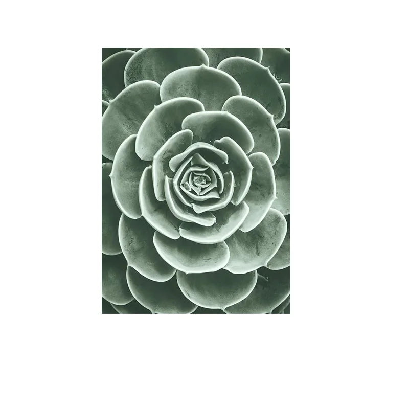 Cactus Wall Art Fine Art Canvas Prints Pictures For Living Room Dining Room Green Leaf Botanical Art For Modern Apartment Decor