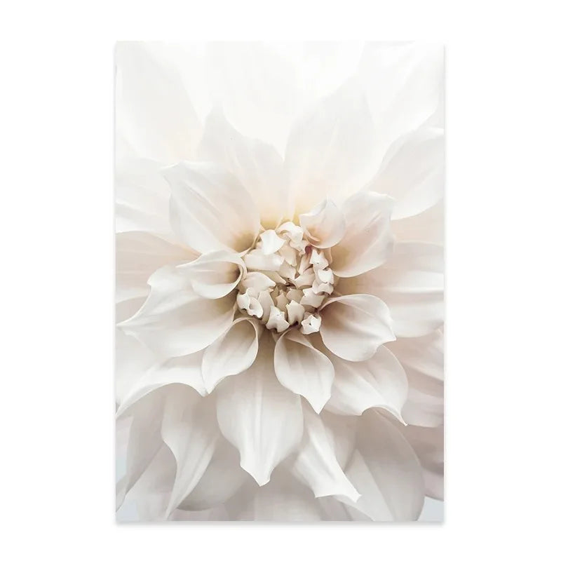 Minimalist White Floral Dahlia Rose Wall Art Fine Art Canvas Prints Pictures of Calm For Living Room Bedroom Modern Home Art Decor
