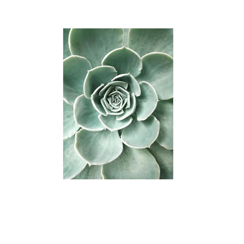 Cactus Wall Art Fine Art Canvas Prints Pictures For Living Room Dining Room Green Leaf Botanical Art For Modern Apartment Decor