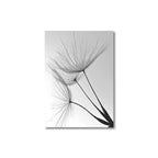 Minimalist Dandelion Wisps Wall Art Fine Art Canvas Prints Modern Black & White Posters For Living Room Bedroom Home Office Study