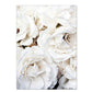 Simple Floral White Rose Peonies Wall Art Fine Art Canvas Prints Black White Botanical Pictures For Living Room Modern Interiors Home Decor