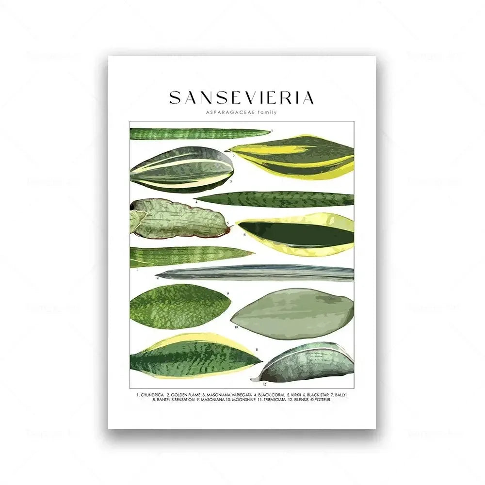 Classic Botanical Specimen Posters Green Leaves Wall Art Fine Art Canvas Prints Pictures For Kitchen Dining Room Living Room Decor 2025