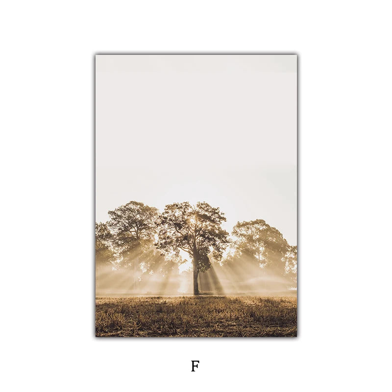 Simple Nature Floral Landscape Gallery Wall Art Fine Art Canvas Prints Minimalist Nordic Pictures For Living Room Scandinavian Home Decor