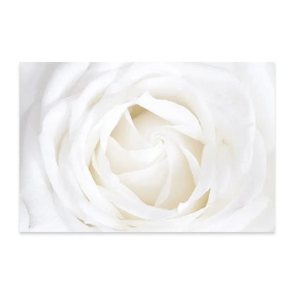 Minimalist White Floral Dahlia Rose Wall Art Fine Art Canvas Prints Pictures of Calm For Living Room Bedroom Modern Home Art Decor