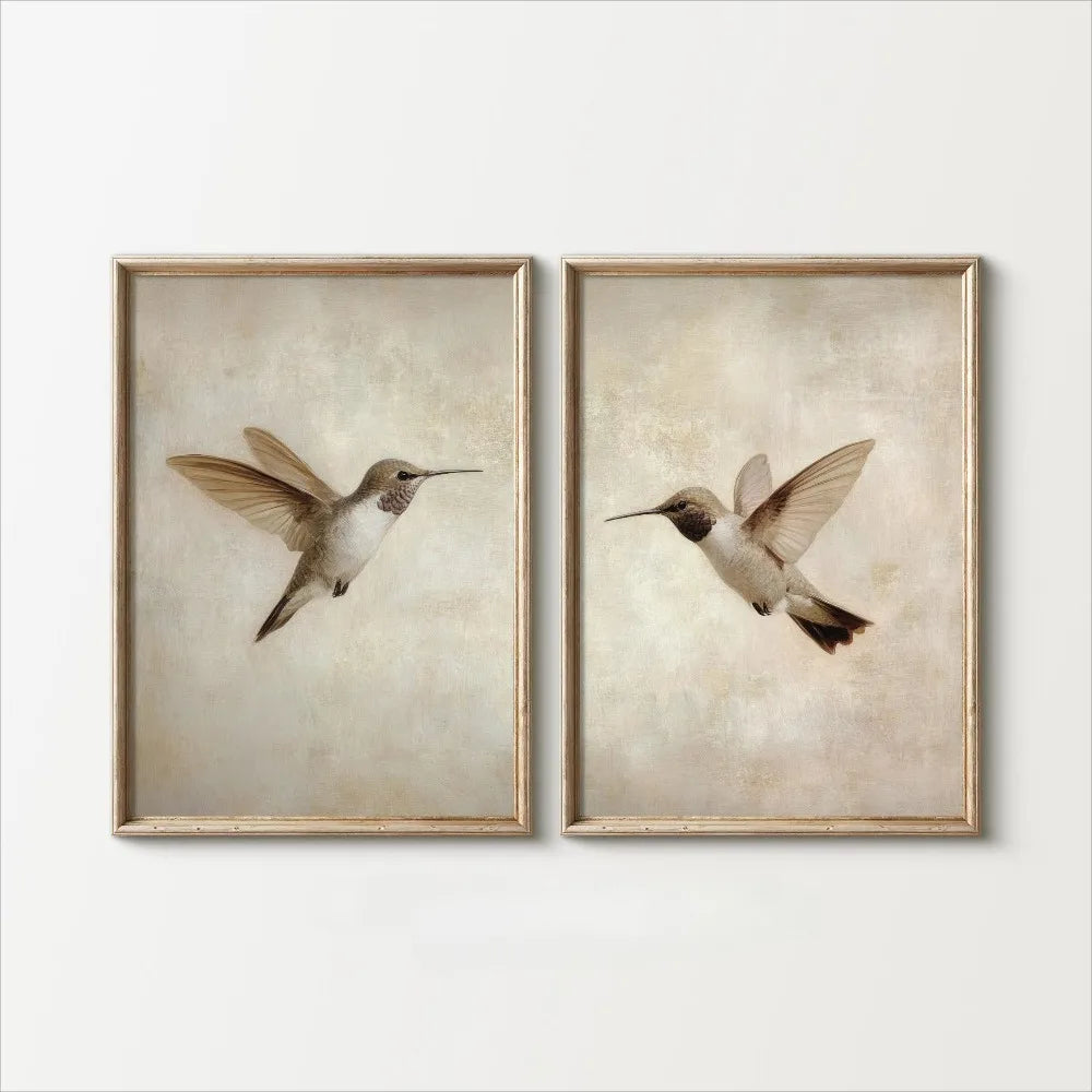 Two framed prints of hummingbirds on a white wall