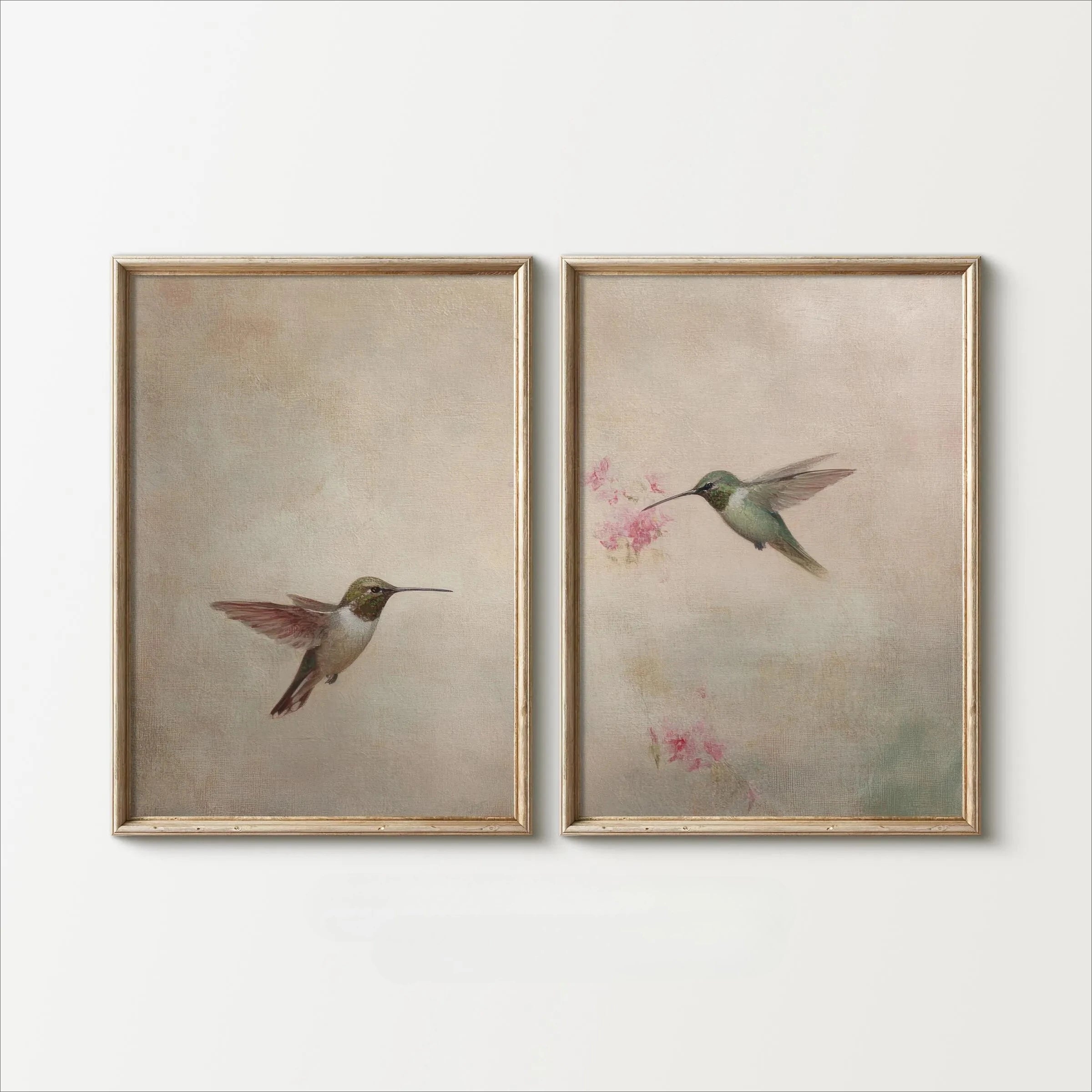 Two framed paintings of hummingbirds on a white wall