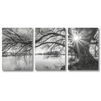 Set of 3Pcs Big Tree Lake Sunset Wall Art Fine Art Canvas Prints Black & White Landscape Pictures For Living Room Bedroom Dining Room Art Decor