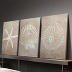 Three wall art panels with starfish, shell, and spiral designs on a dark background.