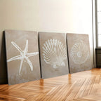 Three wall art panels with starfish, shell, and nautilus design on a wooden floor.