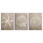 Set of three wall art panels with starfish, shell, and spiral design on a beige background