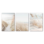 Set of three coastal-themed wall art prints featuring sand dunes and a pathway.
