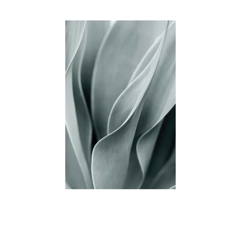 Cactus Wall Art Fine Art Canvas Prints Pictures For Living Room Dining Room Green Leaf Botanical Art For Modern Apartment Decor