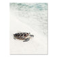 Blue Green Beach Surf Scene Tropical Dream Landscape Wall Art Fine Art Canvas Prints For Living Room Bedroom Gallery Wall Home Decor