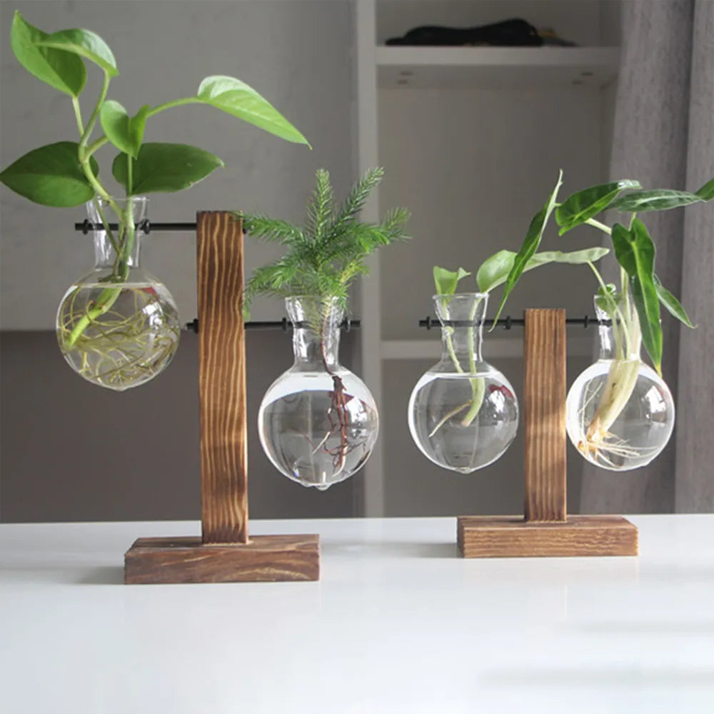 hydroponic plant stand Simple Desktop Hydroponics Glass Bulb Planter Vase With Wooden Stand F – NordicWallArt.com