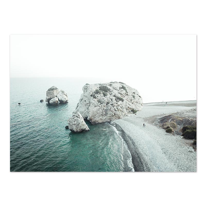 Beach Sea Ocean Poster Wall Art Canvas Painting Bridge Leaves Turtle Seagull Print Vibrant Summer Picture Nordic Home Decoration