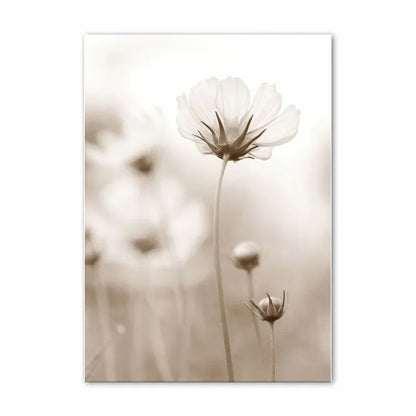 Simple Lifestyle Natural Minimalist Wall Art Fine Art Canvas Prints Gallery Wall Pictures For Modern Living Room Scandinavian Home Decoration 2024