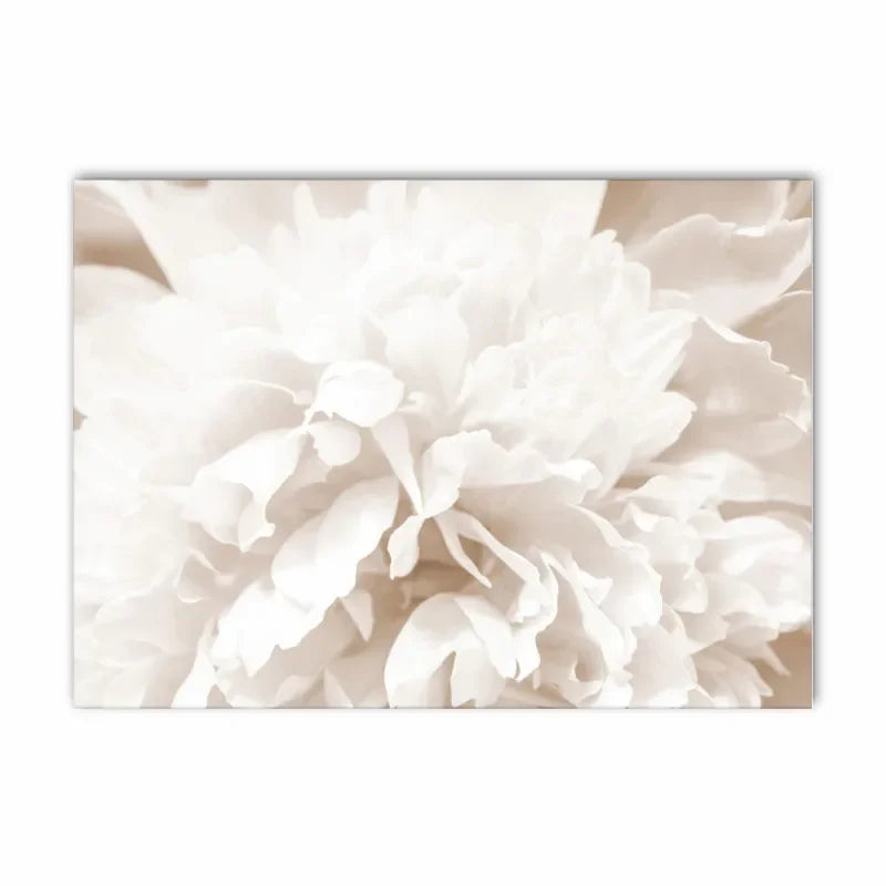 Simple Lifestyle Natural Minimalist Wall Art Fine Art Canvas Prints Gallery Wall Pictures For Modern Living Room Scandinavian Home Decoration 2024