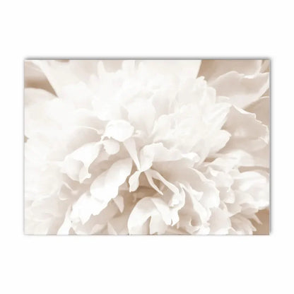 Simple Lifestyle Natural Minimalist Wall Art Fine Art Canvas Prints Gallery Wall Pictures For Modern Living Room Scandinavian Home Decoration 2024