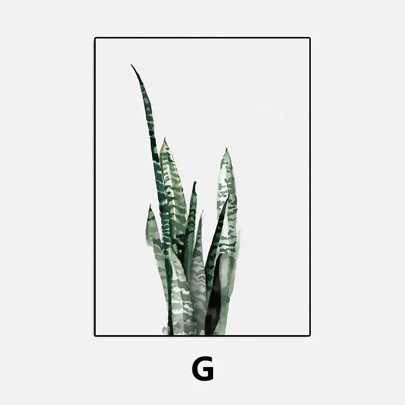 Sansevieria plant with striped leaves on a light gray background