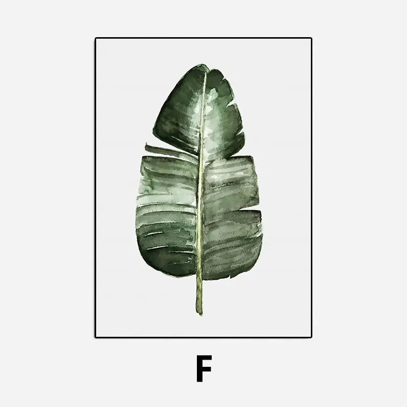 Illustration of a green leaf on a white background