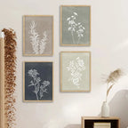Four framed botanical prints on a wall with decorative elements.
