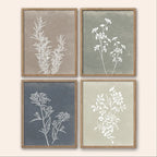 Four framed botanical prints with white plant silhouettes on a neutral background
