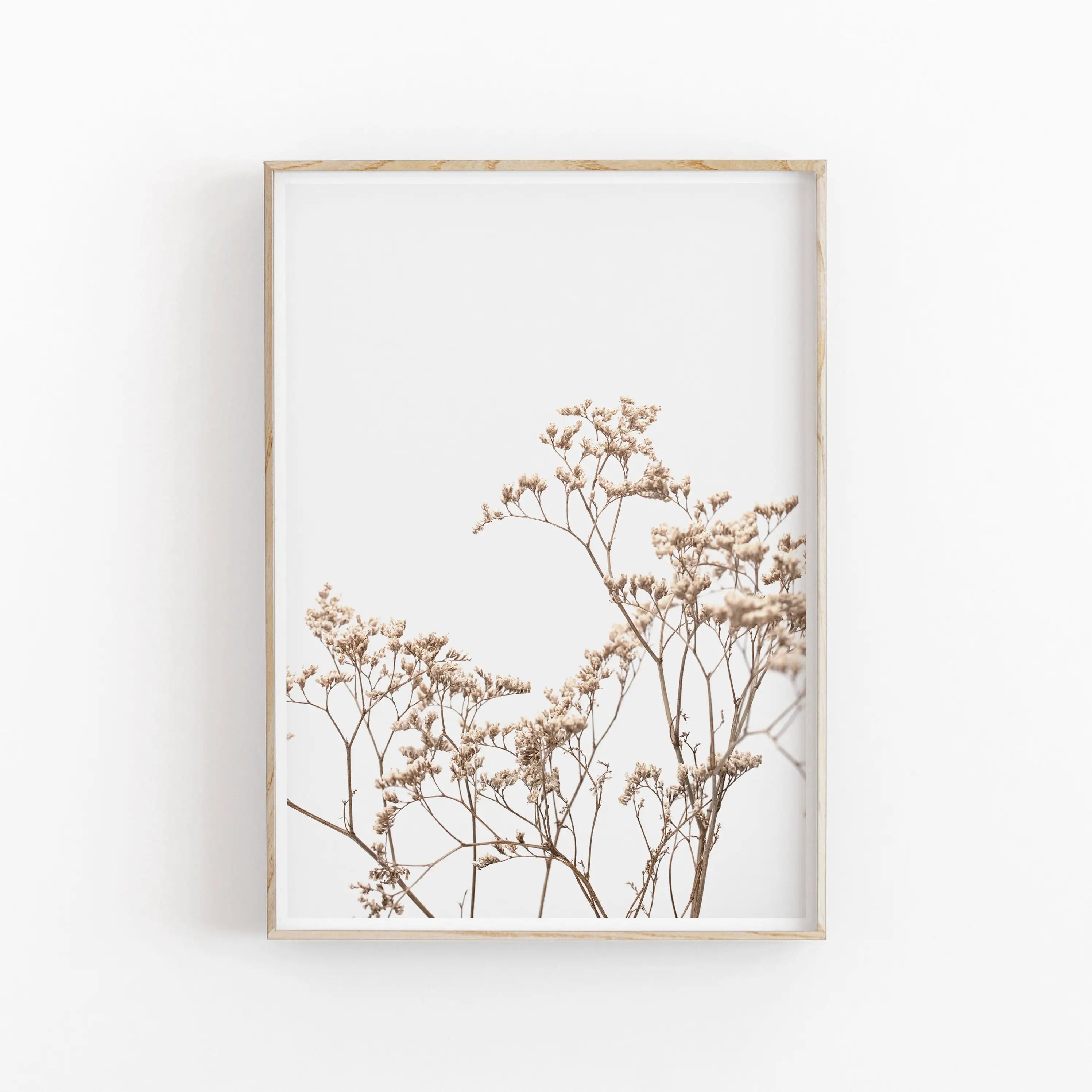 Framed artwork of dried flowers on a white background