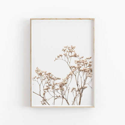 Framed artwork of dried flowers on a white background